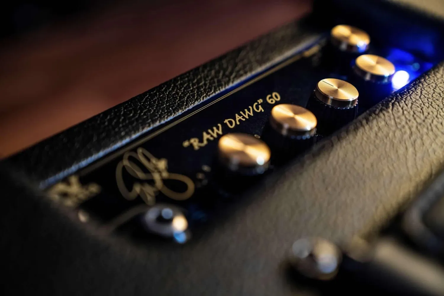 DVmark Raw Dawg 60 gitarcombo 60W 1x12 rør