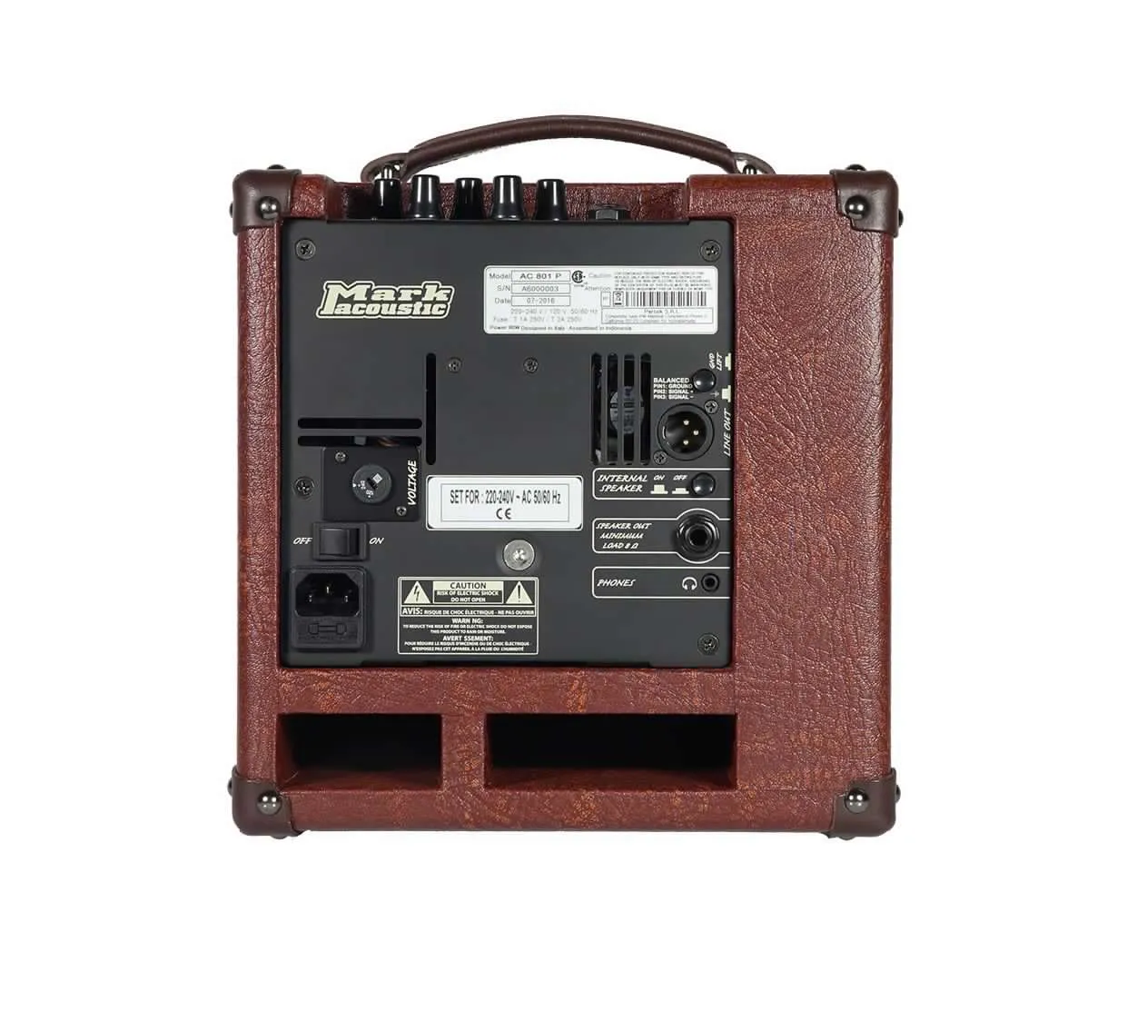 DV Mark AC 801 P akustisk gitarcombo