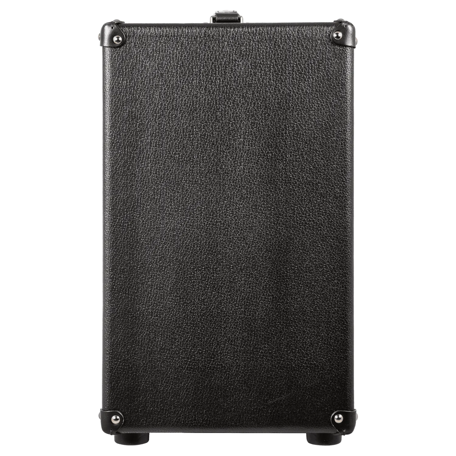 DVmark Raw Dawg 60 gitarcombo 60W 1x12 rør