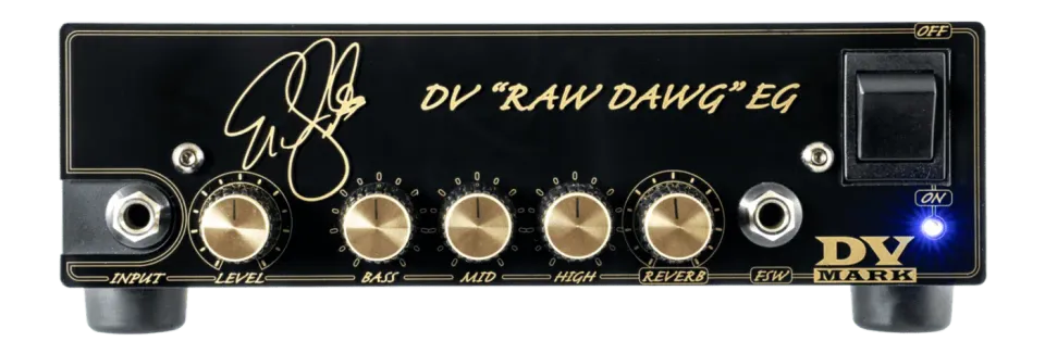 DV Mark Raw Dawg EG forsterkertopp 250W clean