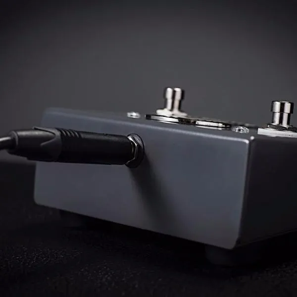 Victory VX Dual fotbryter Solo FX Loop battleship grey