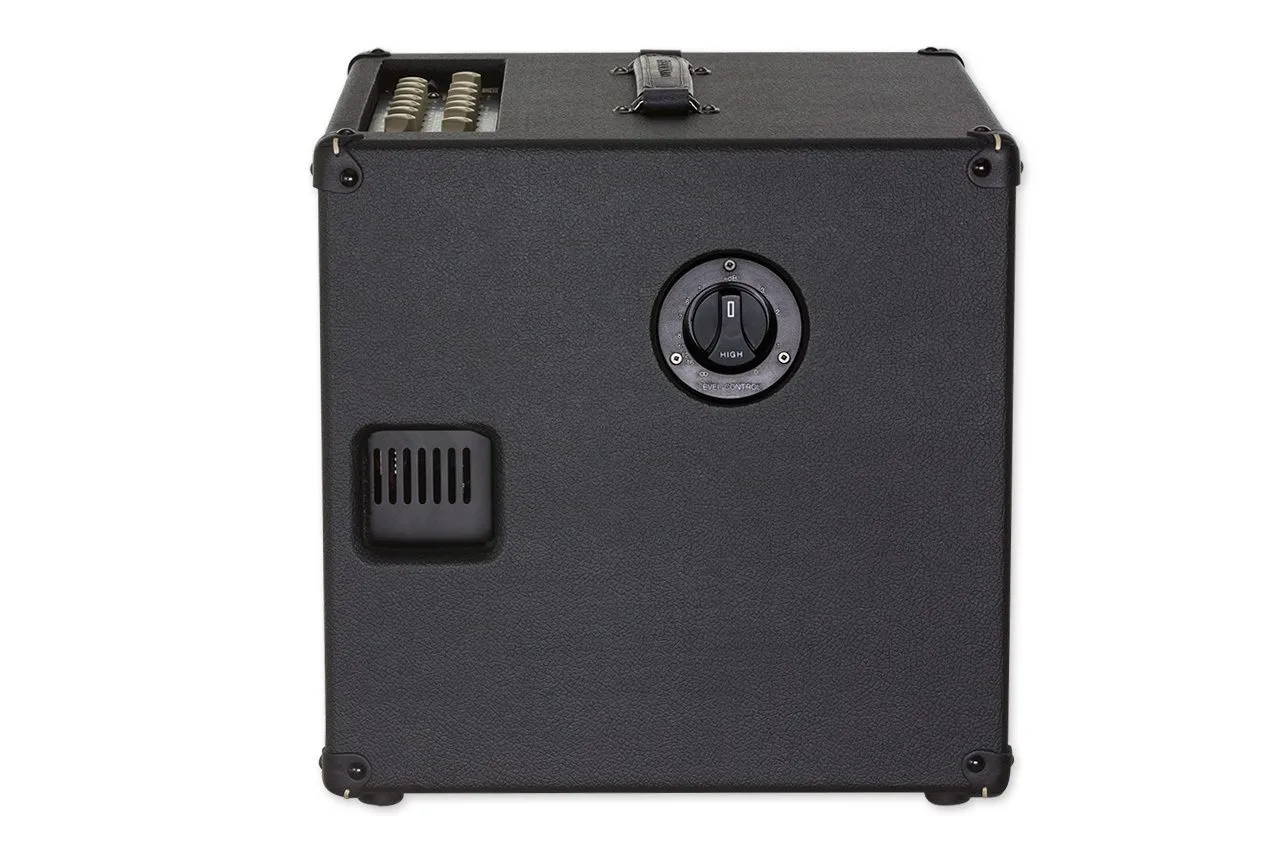 DVmark AC 101 combo 250W akustisk 2 kanaler