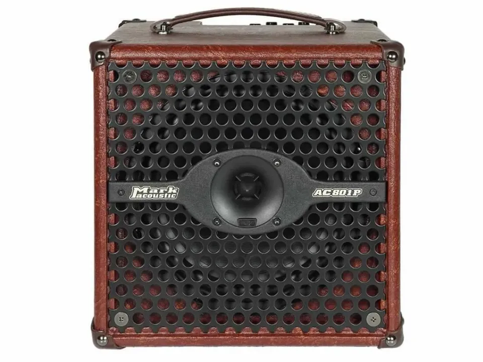 DV Mark AC 801 P akustisk gitarcombo