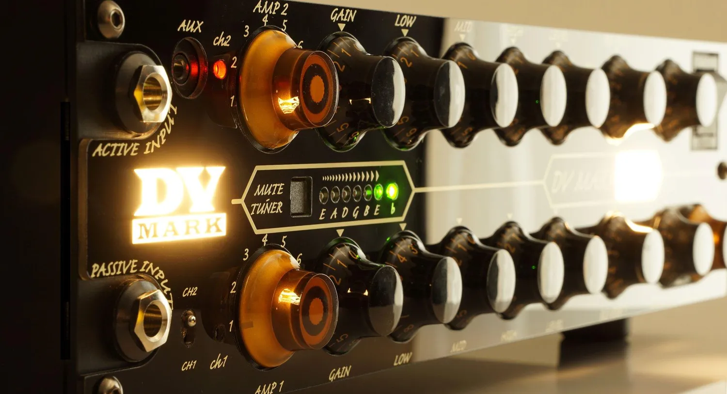 DV Mark EVO 1 gitarforsterker 250W 2-kanals