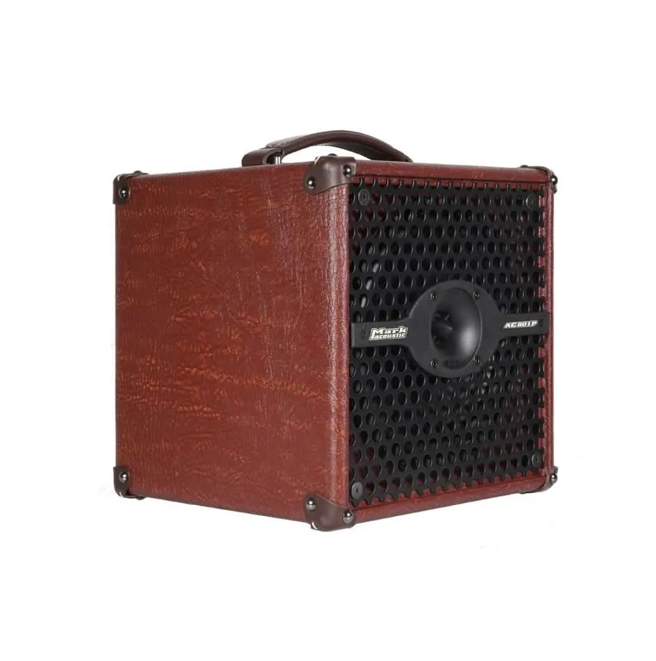 DV Mark AC 801 P akustisk gitarcombo