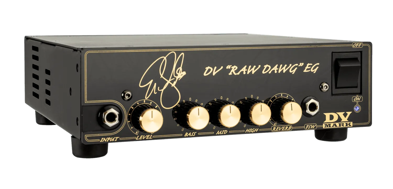 DV Mark Raw Dawg EG forsterkertopp 250W clean