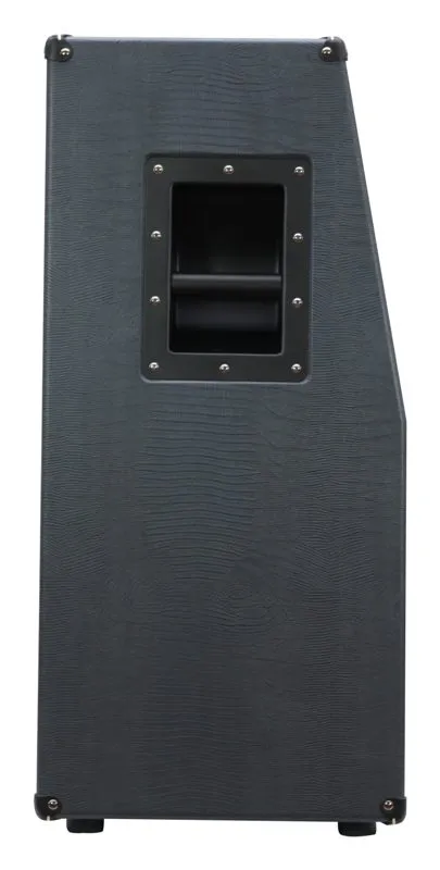 DVmark C 212 FG Frank Gambale gitarkabinett 300W
